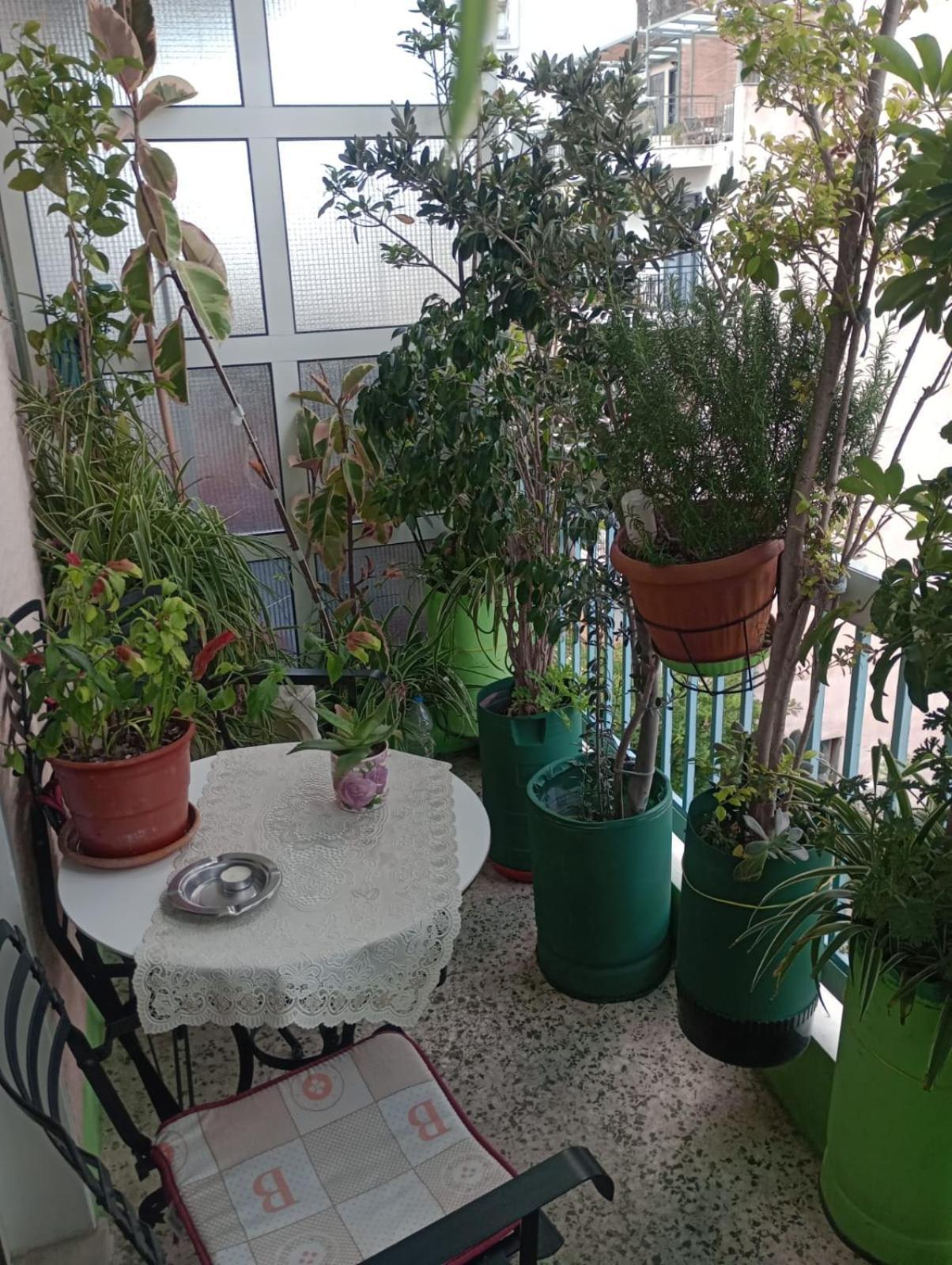Athens Neoclassical Extérieur photo